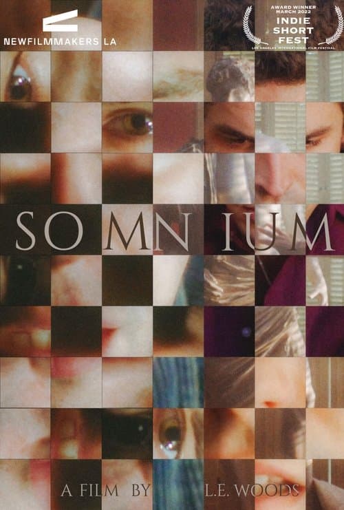 Poster for Somnium