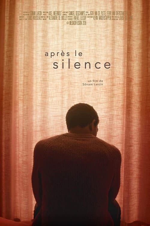 Poster for After the Silence