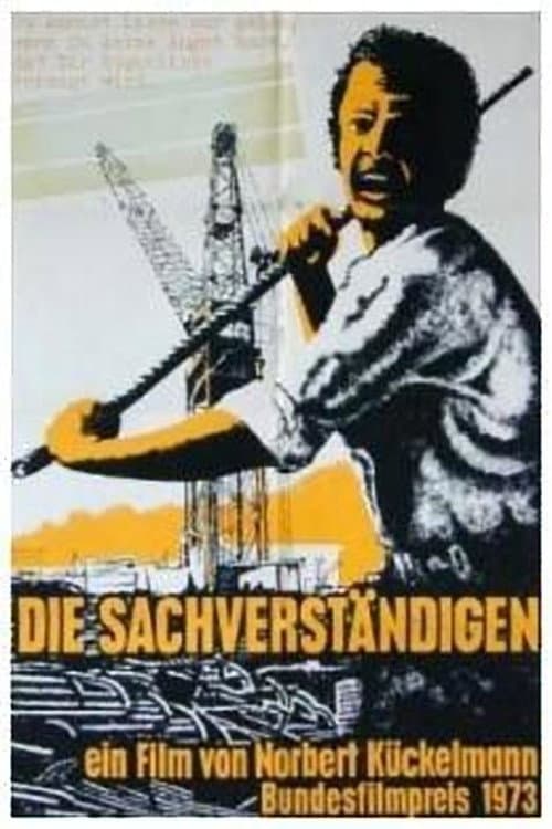 Poster for The Experts