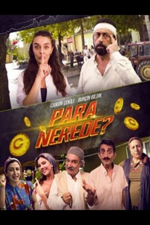 Poster for Where Is the Money?