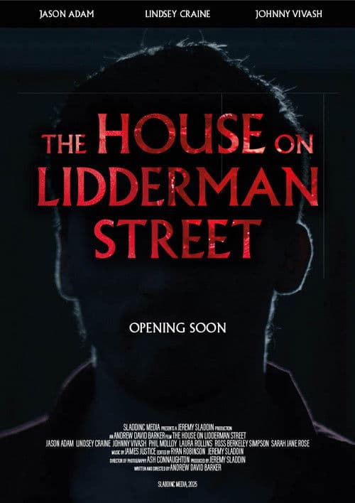 Poster for The House on Lidderman Street