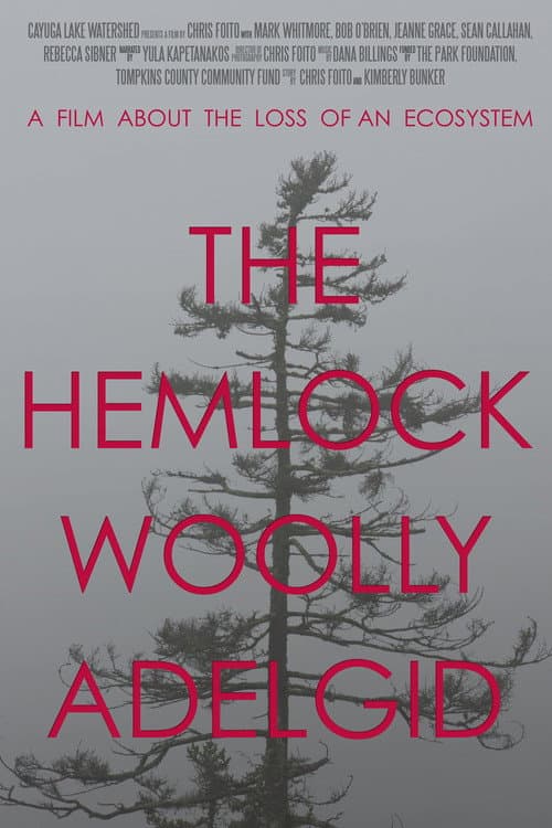 Poster for The Hemlock Woolly Adelgid: A Film About the Loss of an Ecosystem