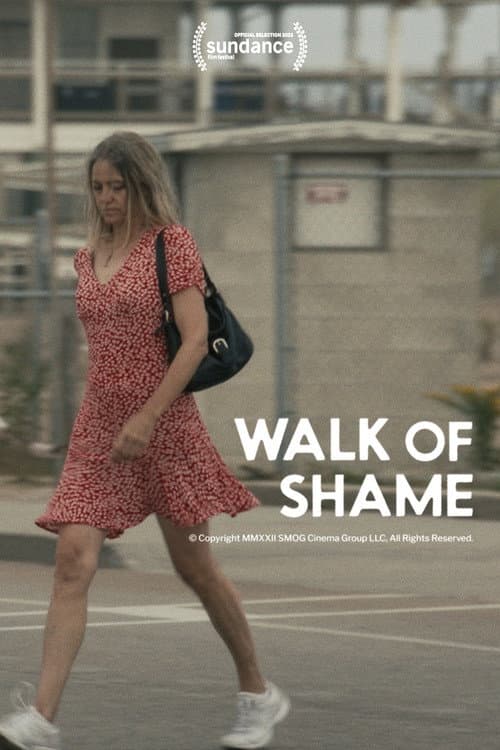 Постер до фільму «Walk of Shame»