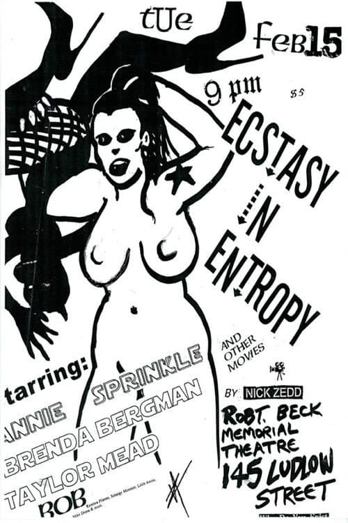 Постер до фільму «Ecstasy in Entropy»
