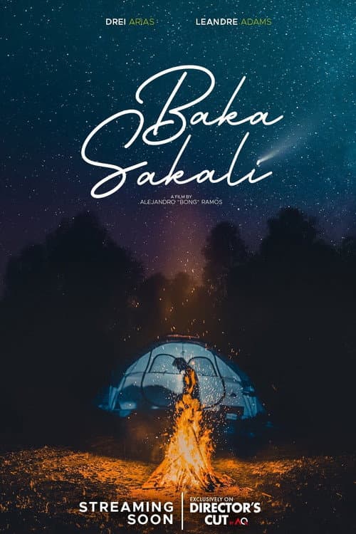 Poster for Baka Sakali