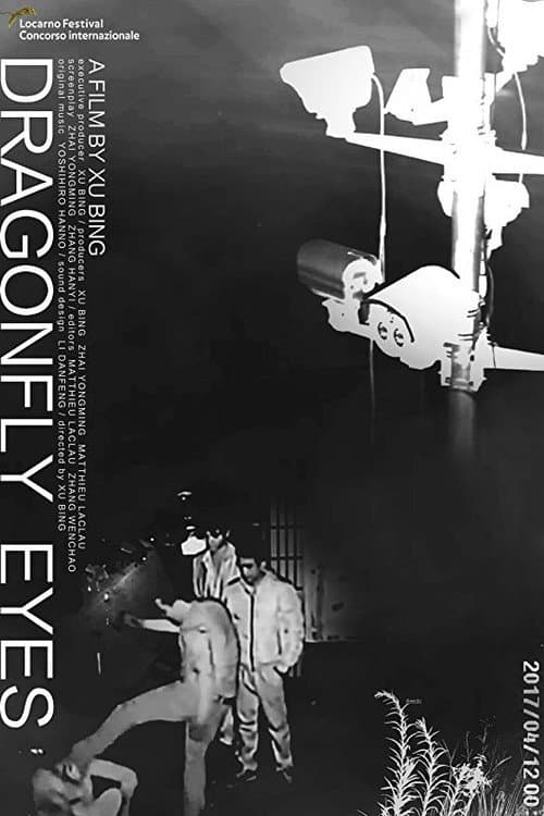 Poster for Dragonfly Eyes
