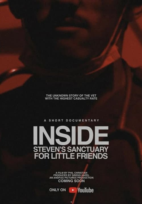 Poster for Inside Steven's Sanctuary For Little Friends