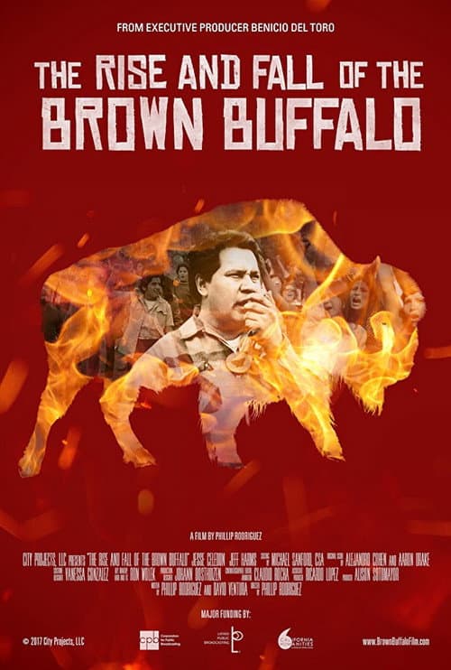 Poster for The Rise and Fall of the Brown Buffalo