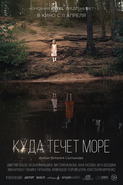 Poster for Where Does the Sea Flow?
