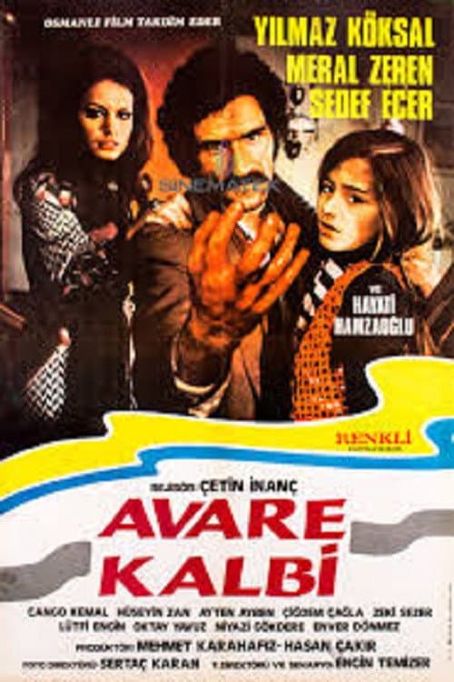 Poster for Avare Kalbi