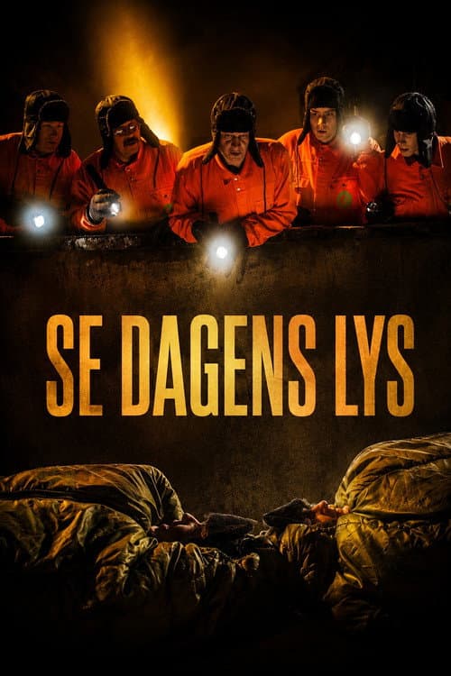 Poster for See the Light of Day