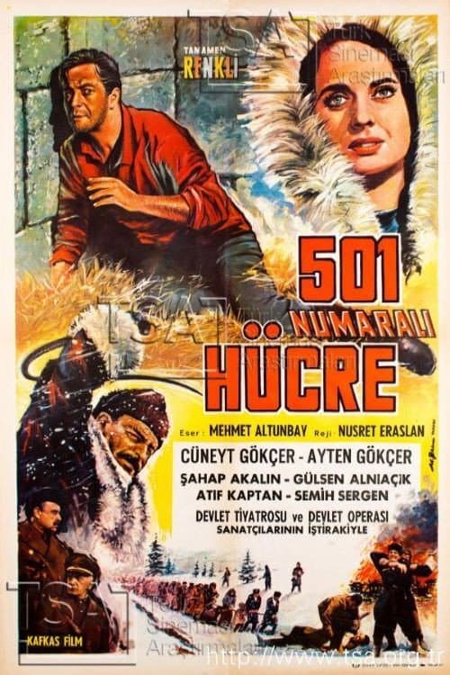 Poster for 501 Numaralı Hücre