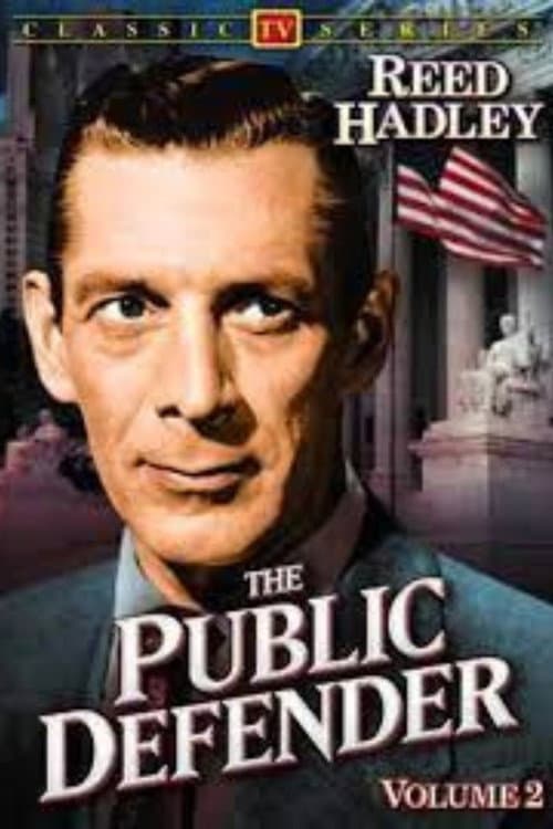 Poster for Public Defender