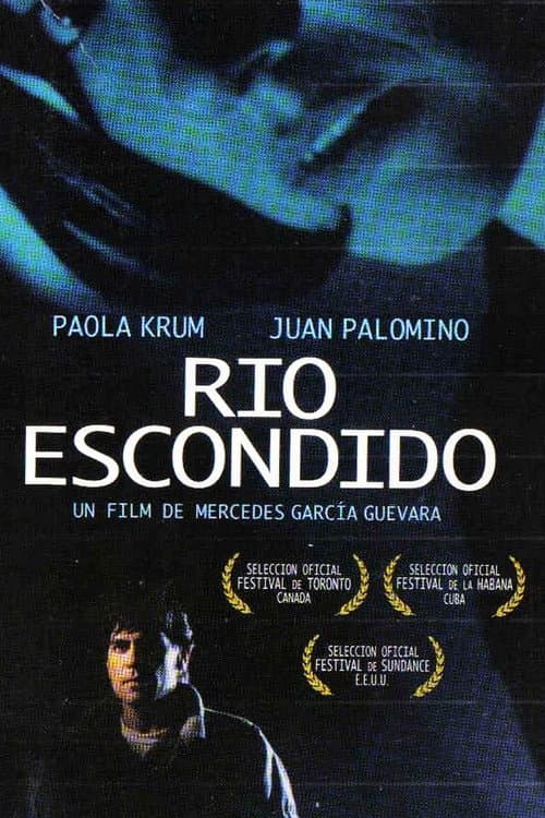 Poster for Hidden River