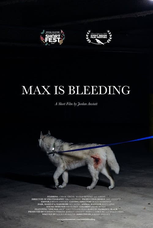 Poster for Max is Bleeding