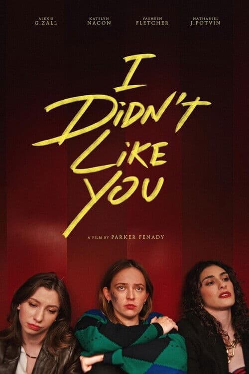 Poster for I Didn't Like You