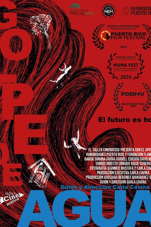 Poster for Golpe de agua