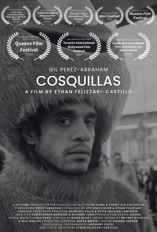 Poster for Cosquillas