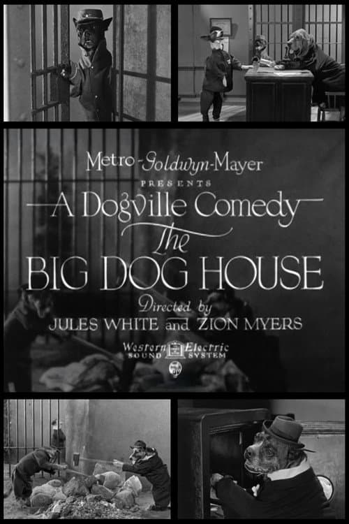 Poster for The Big Dog House