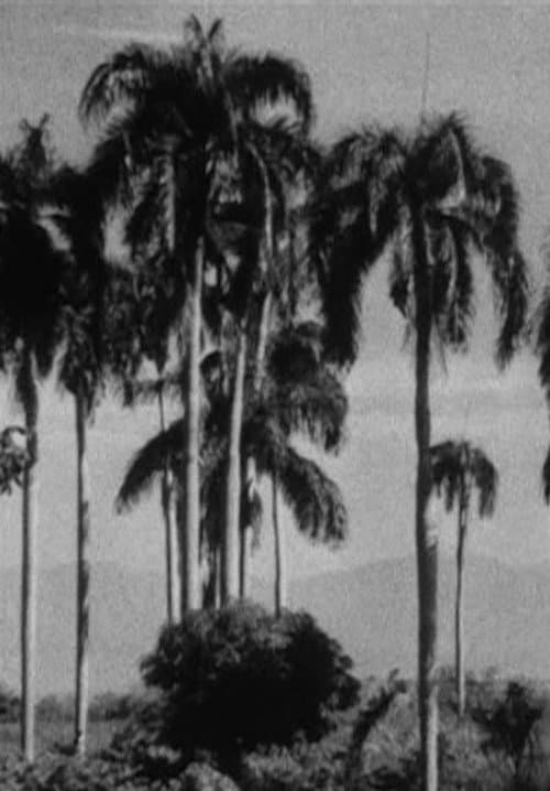 Poster for Haiti
