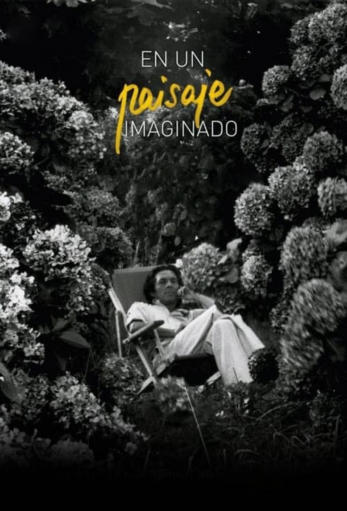 Poster for Imagined Landscape