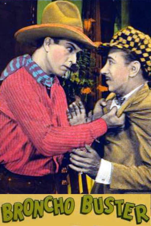 Poster for The Broncho Buster