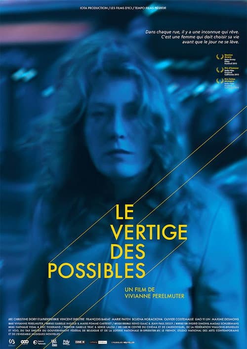 Poster for Le vertige des possibles