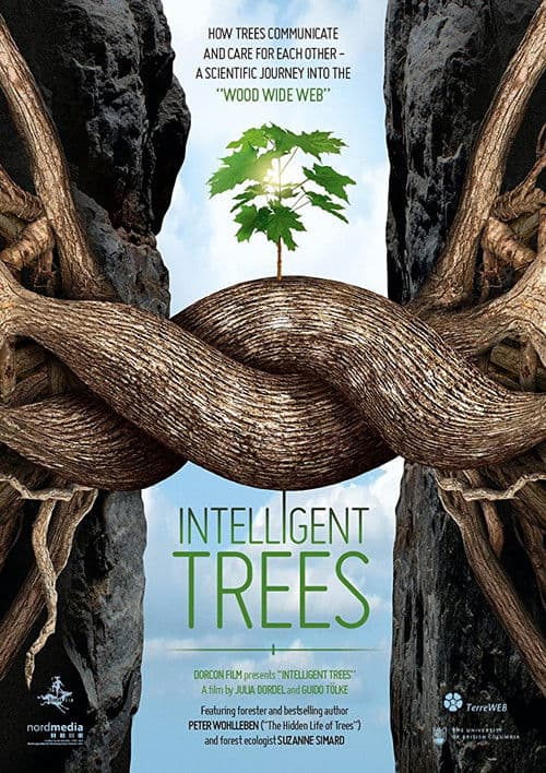 Poster for Intelligent Trees
