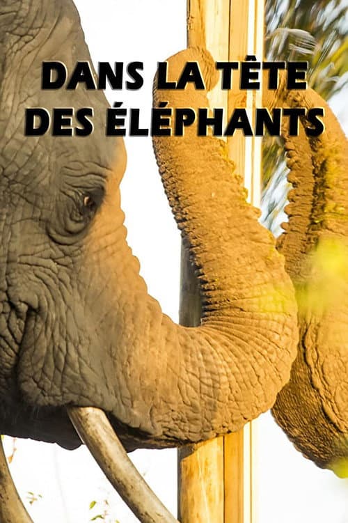 Poster for Mind of a Giant