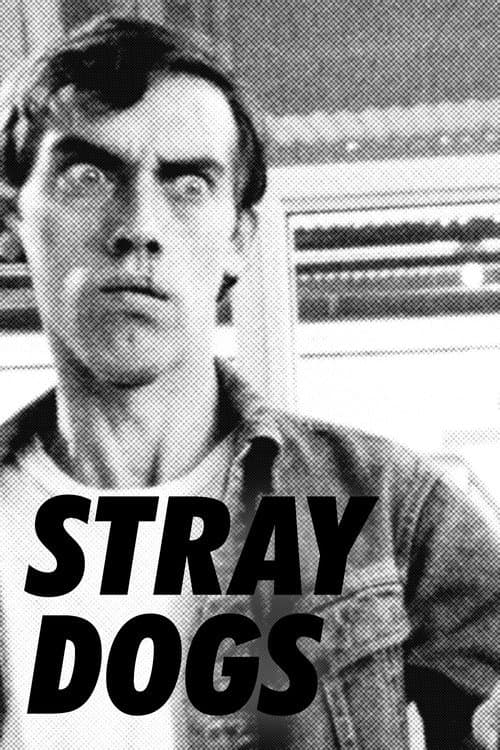 Poster for Stray Dogs
