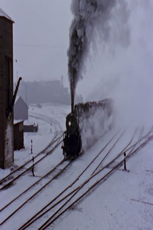 Poster for Down North