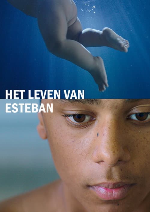 Poster for The Life of Esteban