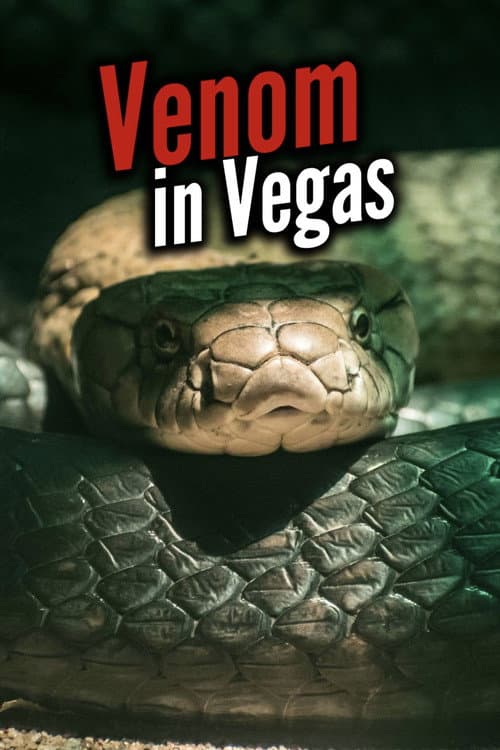Poster for Venom In Vegas