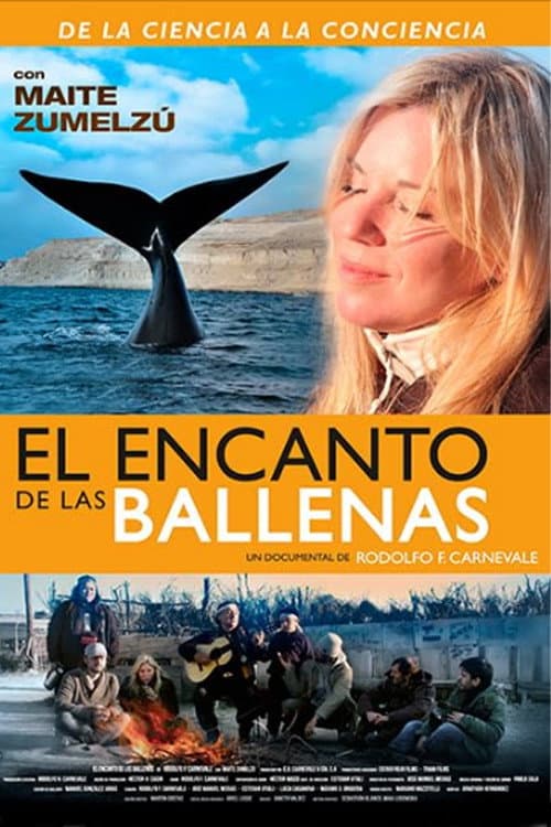 Poster for The Charm of Whales