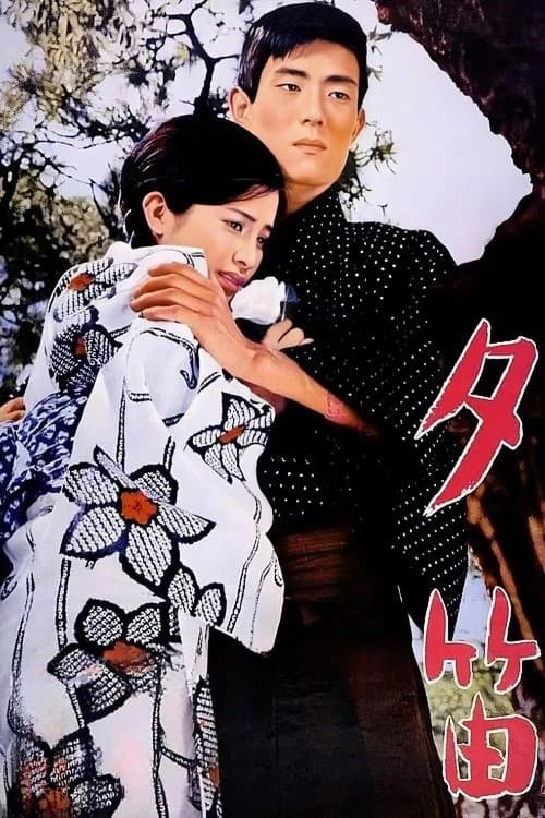 Poster for Lost Love