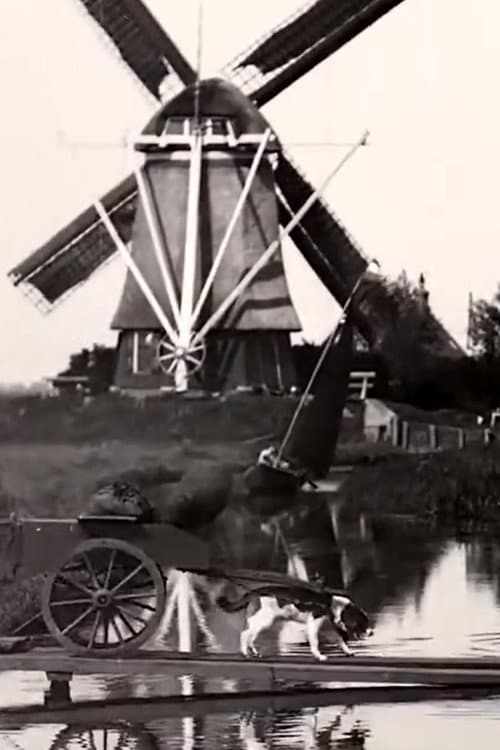 Poster for Countryside Near Amsterdam