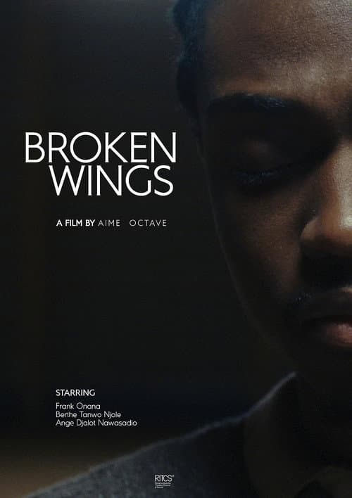 Poster for Broken Wings