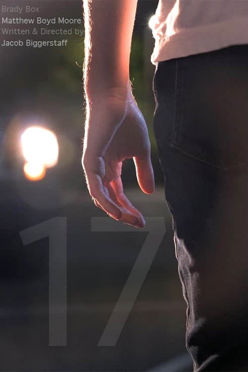 Poster for 17