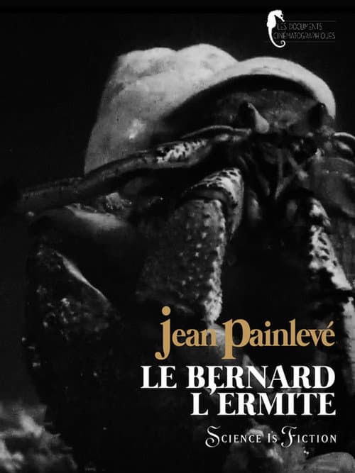 Poster for Hermit crab