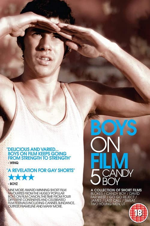 Poster for Boys On Film 5: Candy Boy