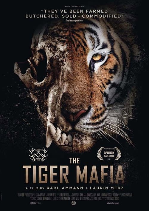 Poster for The Tiger Mafia