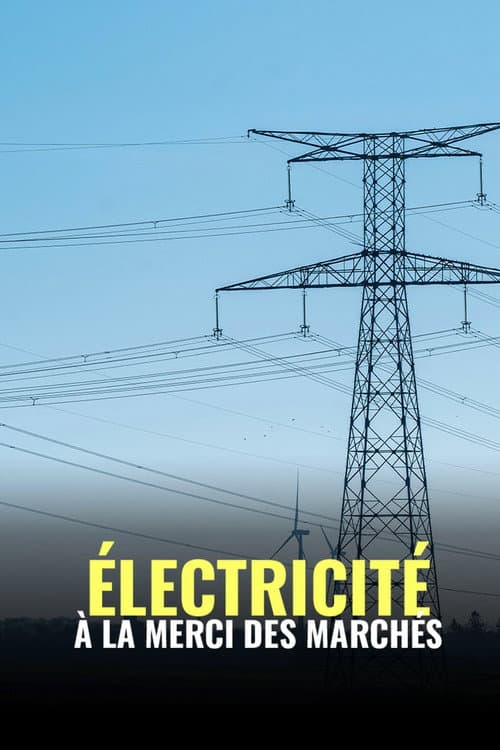 Poster for Électricité : à la merci des marchés