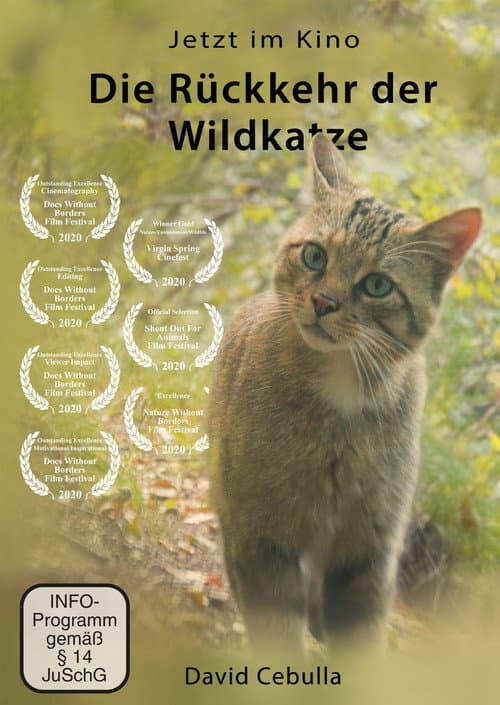 Poster for The Return of the Wildcat