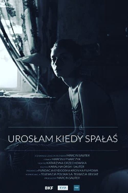 Poster for I Grew Up As You Slept