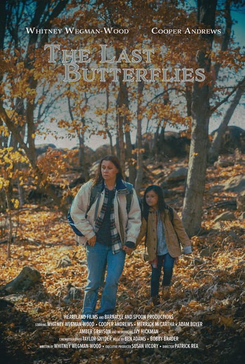Poster for The Last Butterflies