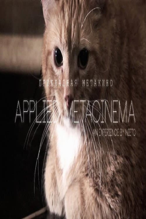 Poster for Metacinema appliqué