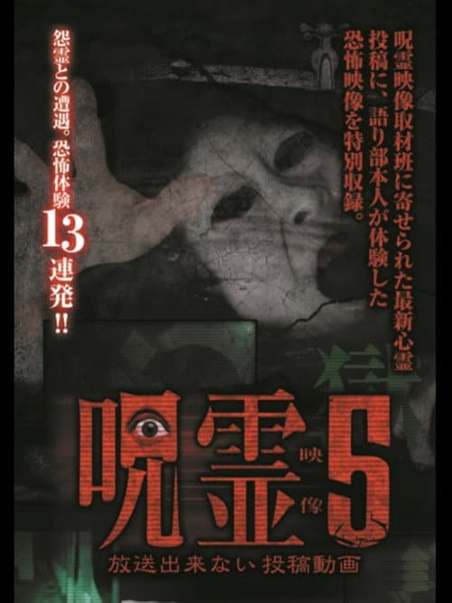 Poster for Submitted Ghost Videos That Cannot be Broadcast 5