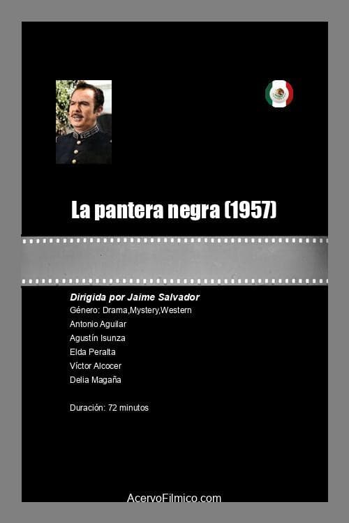 Poster for La pantera negra