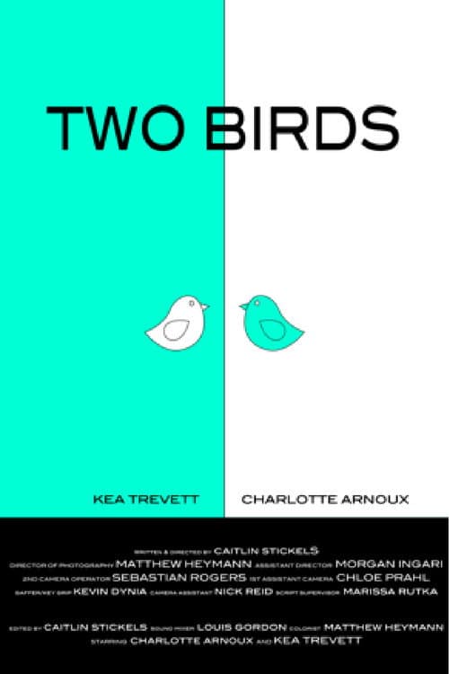 Poster for Two Birds