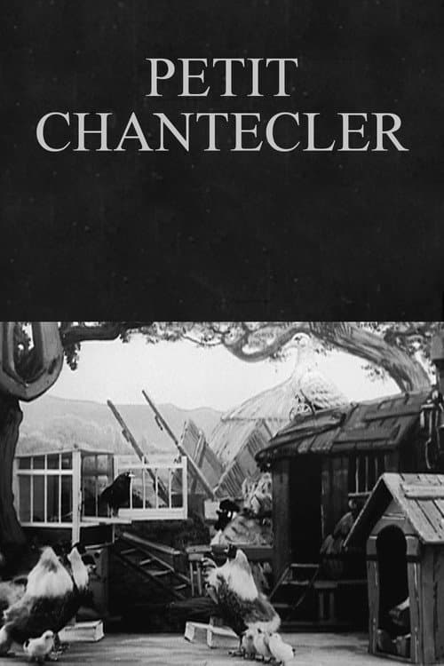 Poster for Petit Chantecler
